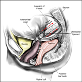 Vaginal Pain / Painful Sex